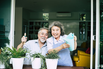 Elderly couples talking together and plant a trees in pots.