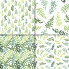 Fern frond herbs, tropical forest plant leaves vector wrapping paper patterns set.