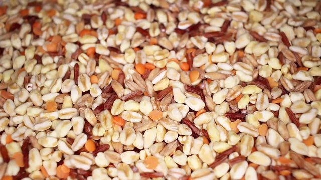 Healthy food gluten free seeds closeup texture video on rolling rotating looping plate