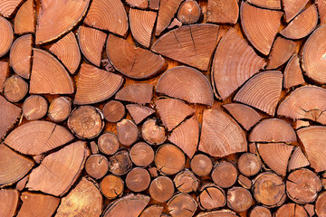 Wood log creative decoration. Natural wood texture for background, pattern, wallpaper with high resolution