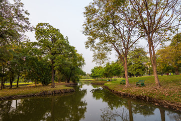Sunset at city public park with green tree and meadow