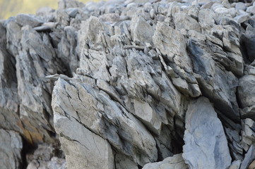 Roches sédimentaires