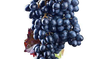 Grapes bunch  isolated on white background.