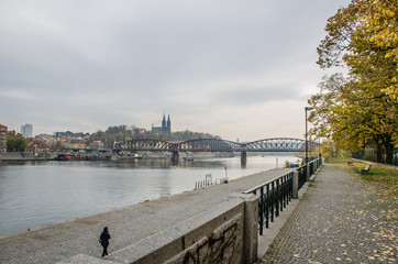 Obraz premium The Vltava river, The Vltava river, Charles bridge and white swans in Prague, Czech Republic in Prague, Czech Republic