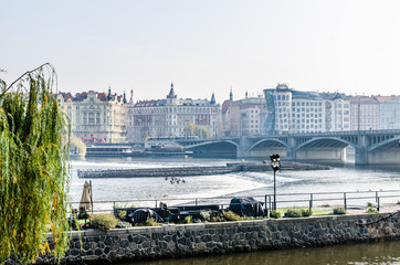 Naklejka premium The Vltava river, The Vltava river, Charles bridge and white swans in Prague, Czech Republic in Prague, Czech Republic