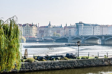 Naklejka premium The Vltava river, The Vltava river, Charles bridge and white swans in Prague, Czech Republic in Prague, Czech Republic