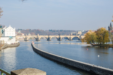 Obraz premium The Vltava river, The Vltava river, Charles bridge and white swans in Prague, Czech Republic in Prague, Czech Republic