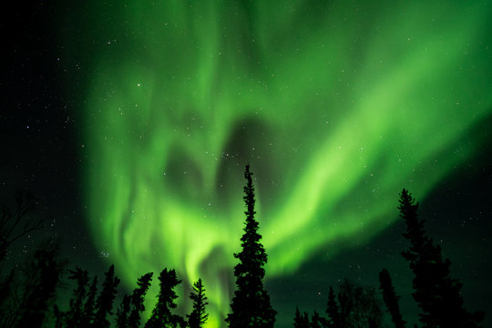 Northern Lights (Aurora Borealis) With Starry Sky Above Forest, Yellowknife, Canada