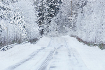 Landscape overlooking the road in winter