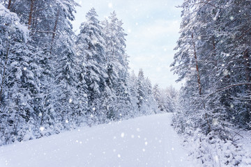 Snow falls on the winter road