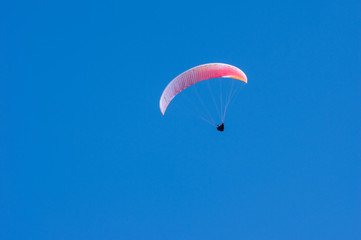 Parasailor Floating in the Bright Blue Sky