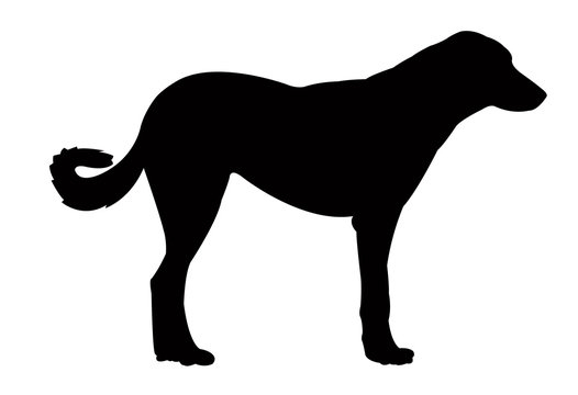 a dog body silhouette vector