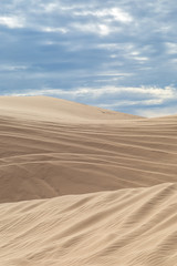 Fototapeta na wymiar Rippled sand dunes, at Imperial Sand Dunes Recreation Area in California