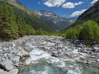 Alpine Val Sissone valley with river, Larch trees and mountains