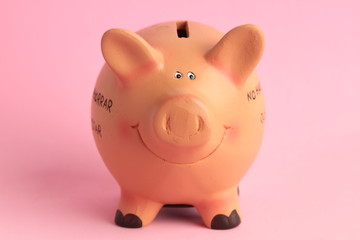 pig ceramic piggy bank with colorful backgrounds