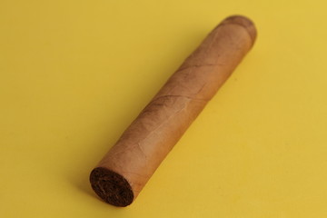 Tobacco Cigars Studio Photo known also as Cigarrets