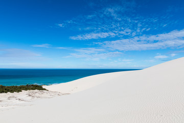 Fototapeta na wymiar De hoop nature reserve white dunes and crystal clear waters of the Indian ocean
