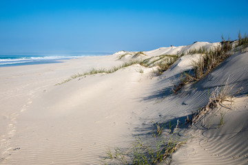 Fototapeta na wymiar Indian Ocean view in the De Mond coastal nature reserve, South Africa
