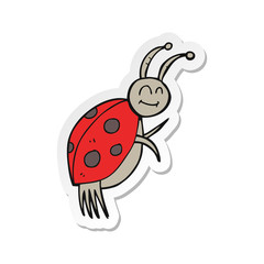 Fototapeta premium sticker of a cartoon ladybug