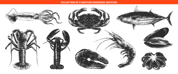 Vector engraved style sea food collection for posters, decoration and print, logo. Hand drawn sketches of in monochrome isolated on white background. Detailed vintage woodcut style drawing.