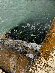 water on rocks in venice