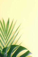 tropical leaves mockup on yellow background. Travel concept. Text space