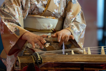 Koto japanese harp