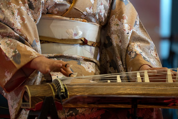 Koto japanese harp