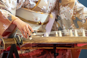 Koto japanese harp