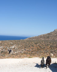 Greece Crete island Seitan limania beach