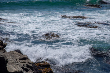 Fototapeta premium Seegang