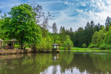 Fototapeta na wymiar Pond in Teutoburg Forest nearby Silbermuele, Germany