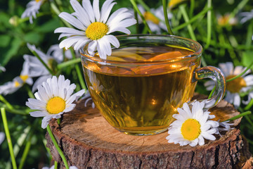 Green tea. Radiant tea with chamomile.