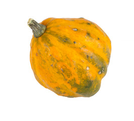 Pumpkin isolated on white background