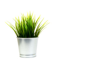 Artificial grass in metal pot decoration isolated on white background