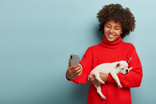 Photo of smiling woman with Afro hairstyle, spends free time with small puppy, makes selfie, connected to wireless internet, boasts which dog she has, stands against blue wall with free space