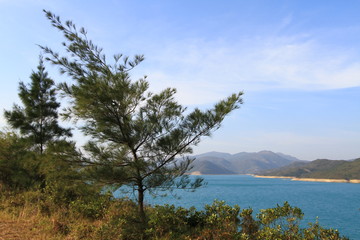 a landscape of hk MacLehose Trail 2009