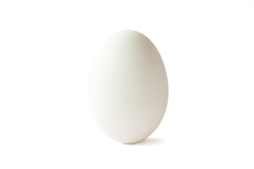 Isolated of white duck egg on white background.-Image.