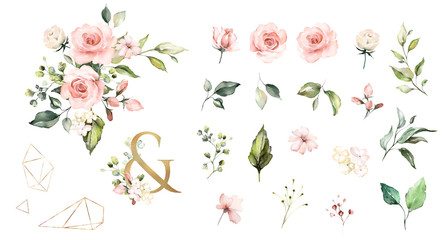 Set watercolor elements of roses collection garden  pink flowers, leaves, branches, Botanic  illustration isolated on white background.   ampersand