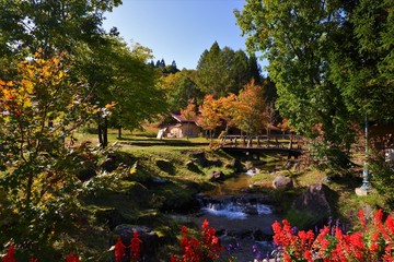 山の村牧場の紅葉