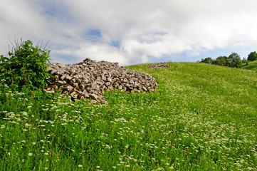Bergwiese im Naturreservat Bijele und Samarske Stijene (Velika Kapela), Kroatien