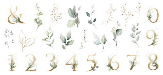 Set watercolor herbal elements. collection garden leaves, branches, Botanic  illustration isolated on white background.  numbers, ampersand