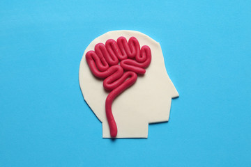Plasticine head and brain concept. Smart mind, neurology knowledge.
