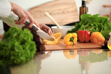 Unknown human hands cooking in kitchen. Woman slicing yellow bell pepper. Healthy meal, and vegetarian food concept