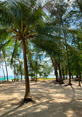 Obraz premium Beautiful tropical island of Poda in Thailand, Krabi province, tourist attraction.