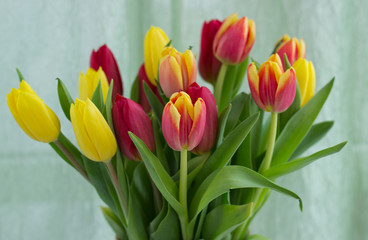 Bouquet with tulips.