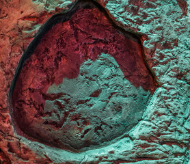 footprint of a sauropod, a prehistorical lizard also known as dinosaurs, fossil of a dinosaur track © Charlotte B