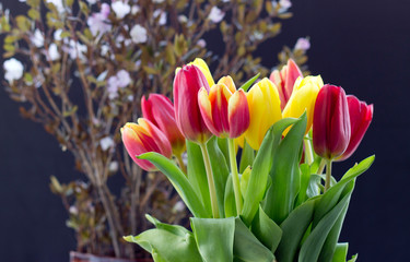 Bouquet with tulips.