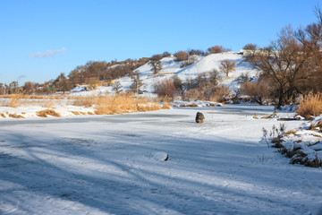 Fototapeta na wymiar Blue sky and white snow. Beautiful winter landscape.