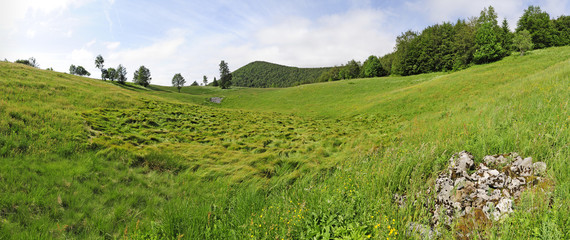 Bergwiese im Naturreservat Bijele und Samarske Stijene (Velika Kapela), Kroatien